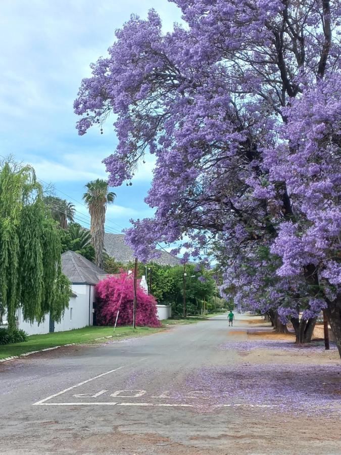 Prince Albert Cottage エクステリア 写真
